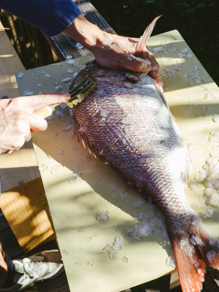 Japanese Fish Scaler