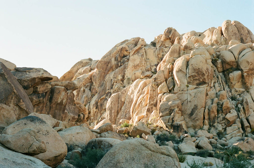 Moveable Feasts : Our 1-Year Anniversary in Joshua Tree