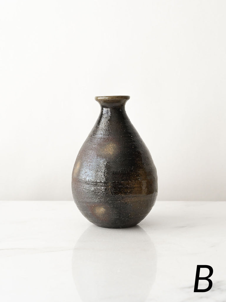 Sake Bottles in Dark Soda Fire