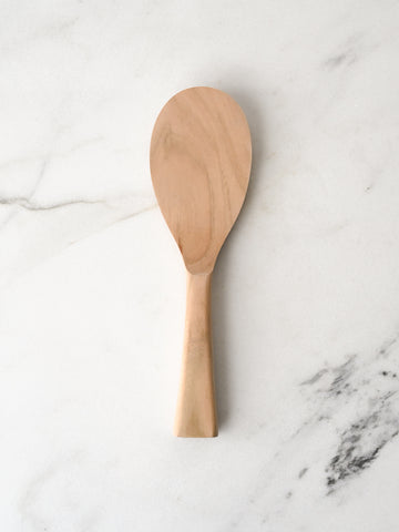 miyajimaricespatula-1_large.