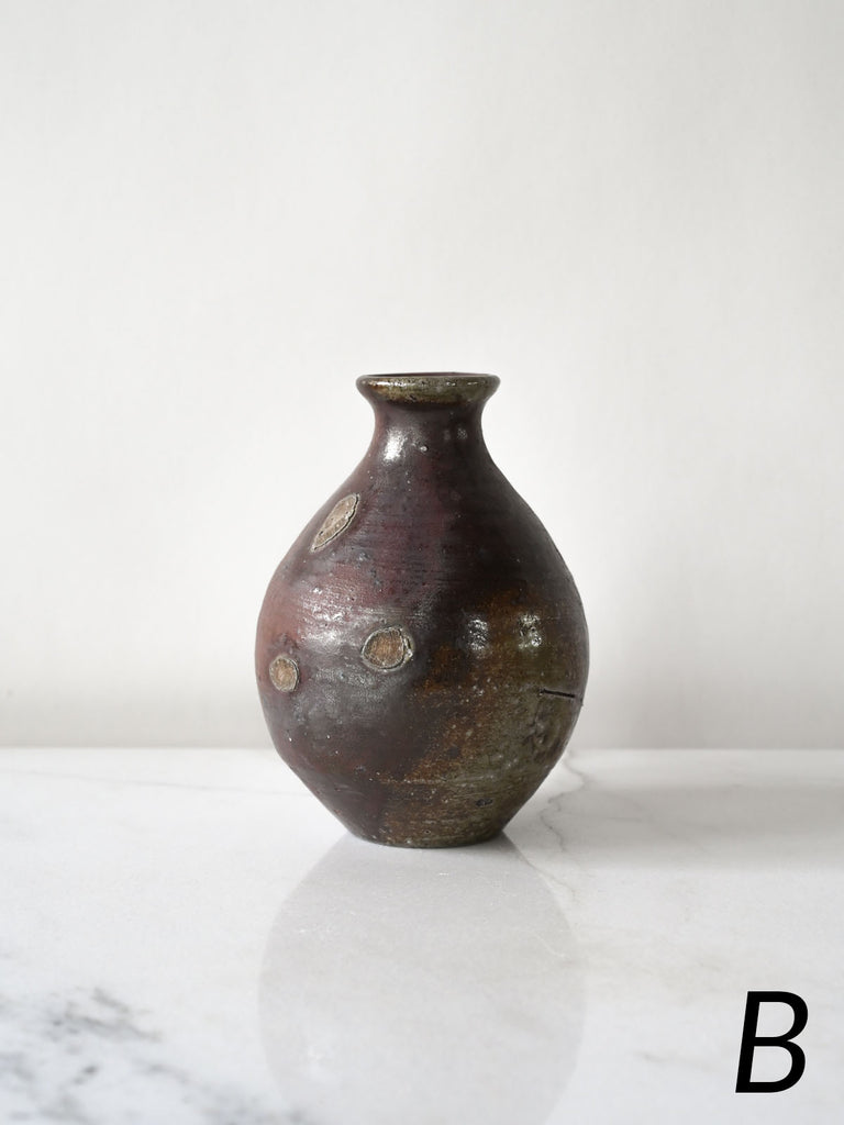 Sake Bottles in Dark Soda Fire