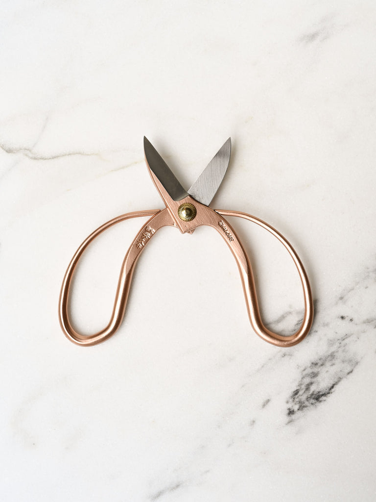 Take-Apart Kitchen Scissors – Tanager Housewares